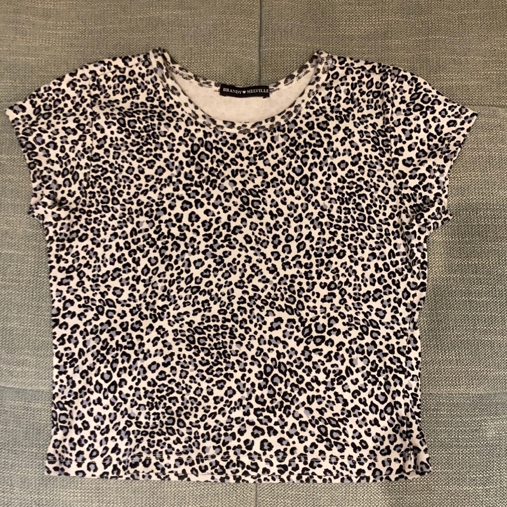 Brandy Melville Blue Cheetah Top